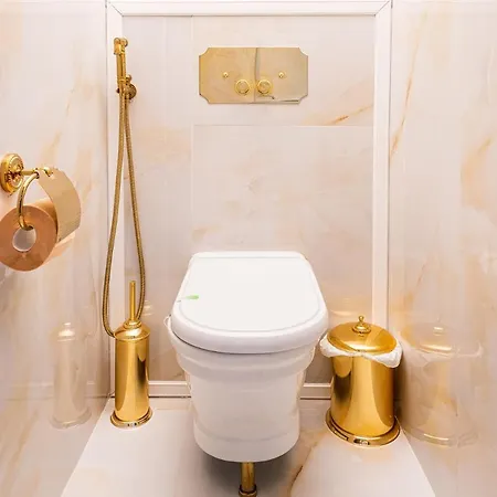 Daire Private Museum With Antique Decor *