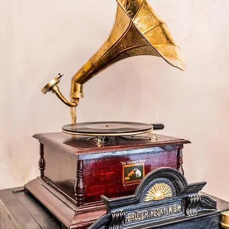 Private Museum With Antique Decor *