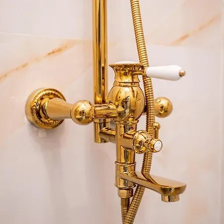 Apartment Private Museum With Antique Decor