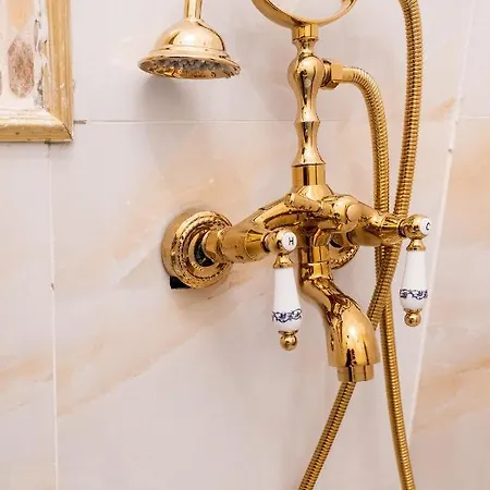 Private Museum With Antique Decor Apartment